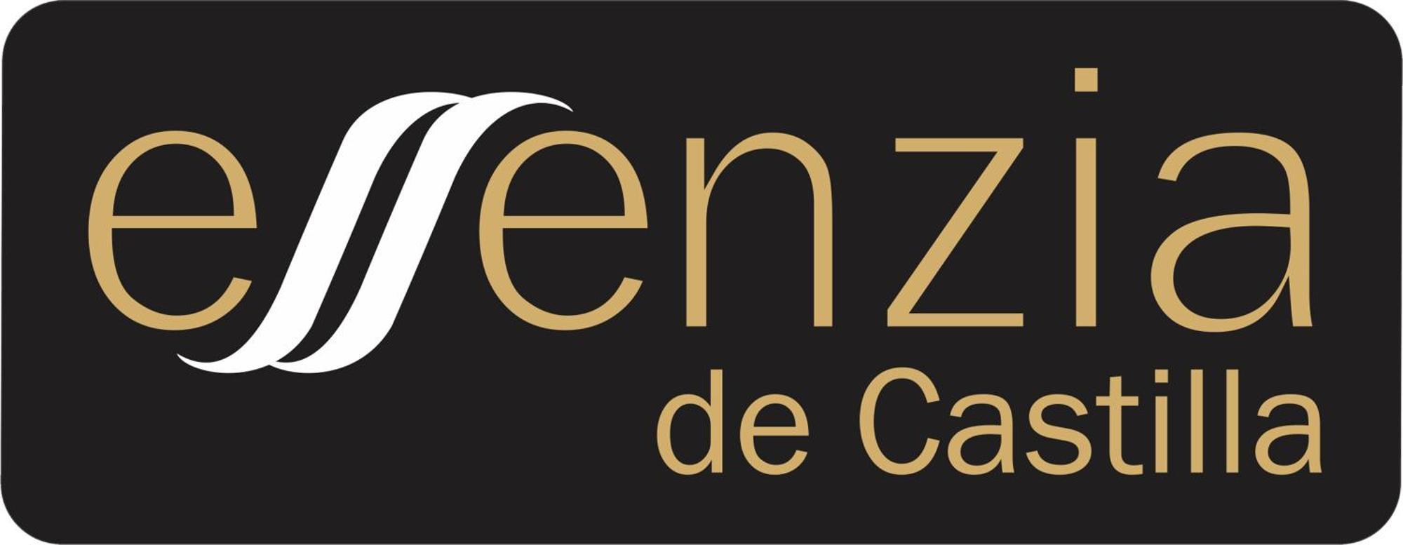 Aparthotel Essenzia De Castilla Aranda de Duero Luaran gambar